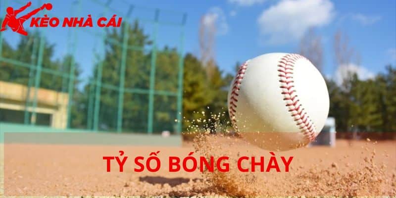 Tất Tần Tật Về Cá Độ Tỷ Số Bóng Chày Hiện Nay Tại Kèo Nhà Cái - bản quyền Kèo Nhà Cái 55 Thông tin về cá độ tỷ số bóng chày